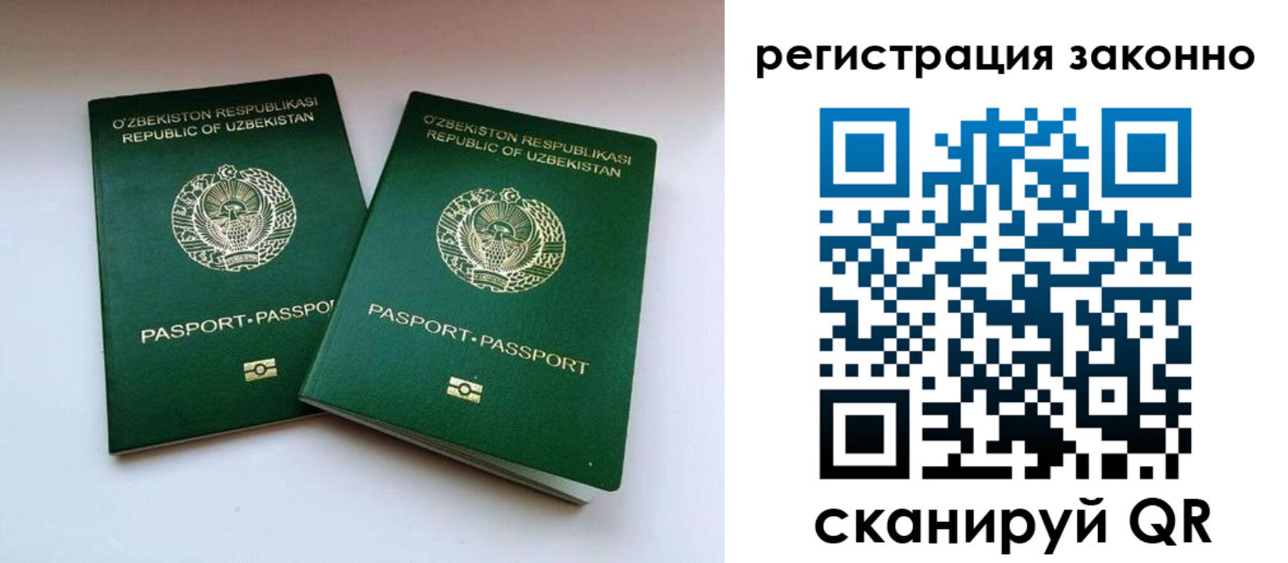 прописка гарантия в Волгограде